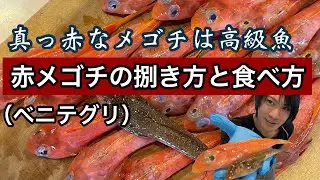 真っ赤なメゴチ【ベニテグリ】の綺麗で素早い捌き方と美味しい食べ方♪
