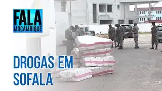 A Policia apreendeu mais de meia tonelada de droga