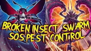 🐝 Battlewasp 🐝🍯 Beetrooper insect 🦗 Swarm combo guide. Join our hive / colony, Yugioh EDOPRO,