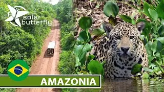 SolarButterfly in Amazonia