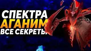 ЗАЧЕМ СПЕКТРЕ АГАНИМ?