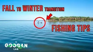 FALL TO WINTER Transition BASS FISHING TIPS!