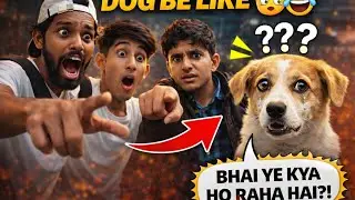 &ldquo;PLAN HUMARA THA&hellip; HERO DOG BAN GAYA 🤣😂😎&rdquo;#comedy #funny #minivlog #comedy #travel #beinginsaf