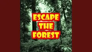 Escape The Forest