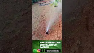 pop up irrigation sprinkler for garden #tast #gardening #garden#irrigation#tanzania#kilimo#sprinkler