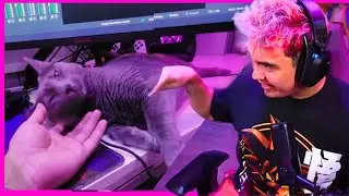 PASTY ES FUNADO POR 