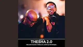 Mellow & Sleazy, Tumelo.za, Loony Q & Mu Muziqal - Thesha 2.0 (Official Audio)