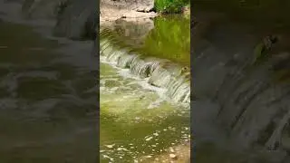 Relaxing water stream ASMR #asmr #canada #stream #water #nature #canada #viral #travel #spring