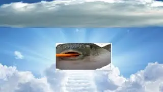 Coffin Dance But It Is Pufferfish Dance