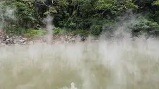 Green Sulfur Spring 4k