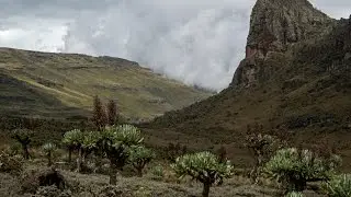 Reaching the peak - Mount Elgon National Park, Uganda