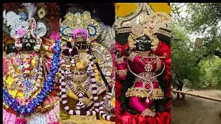 Second day part-2 वृंदावन की दिव्यता: बाँके बिहारी, राधारमण, राधावल्लभ, निधिवन और चीर घाट”