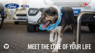 Meet the Love of your life at Ford N1 City
