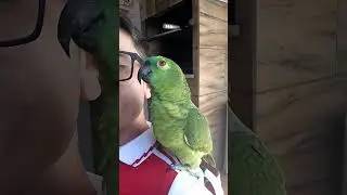 manda beijo 😘😘🦜