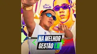 Na Melhor Gest&atilde;o 1.0