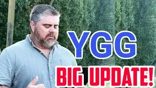 YGG Token BIG UPDATE! || YGG Price Prediction || Crypto today News