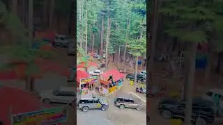 Most beautiful view usho forest Kalam swat#egzonibrahimi #egzon #nature #swatdistrict #travel