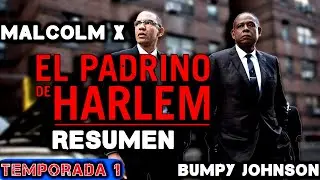 EL PADRINO DE HARLEM, GODFATHER OF HARLEM RESUMEN TEMPORADA 1. BANDA SONORA DBZ.