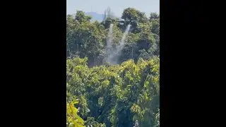 Thor AI Intelligent Drone Sprayer for Avocado Application Scenario