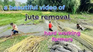 How are the pants designed?, Farmer's hard work || MR MUKEESH