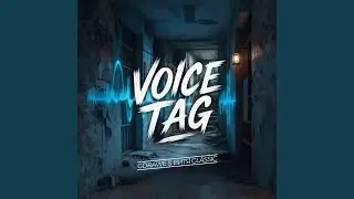 Voice Tag
