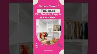 Shop Best Pet Clothes, Toys & Accessories  #pets #dog #doglover #petclothes #dogtoys