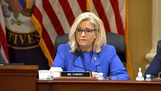 Liz Cheney&rsquo;s Trump-Backed Opponent Leads Polls in Primary
