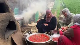 الست دايما الدنيا جايه عليها مش في البشر بس!! الحله مشيت مني في البحر والسبب ؟