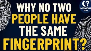 Why No Two People Have the Same Fingerprint ?