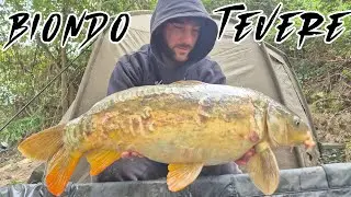 CarpFishing in fiume Tevere