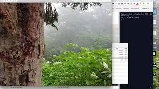 Getting GPS coordinates from an image in Python