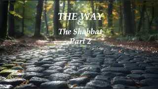 The Way: Week 8 - Walking the Ancient Path - Real Time Torah 9-2-25