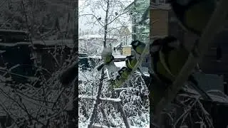 7 ноября 2025 г.