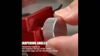 Woodworking Tools You Must Have for Your Workshop#5