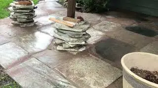 Cleaning Update After Watering Down Stone Patio ... Zehr Estate Bungalow