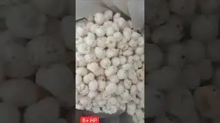6 + hp available #foxnuts #gym #makhana #amakha #healthyfood #viral #sansanana