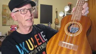 What Is Right & Wrong With This Ukulele:  Puka Peace Rosette Concert.