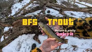 Wintertime Bait Finesse Style Fishing for Tigers #bfsfishing #fishing #troutfishing