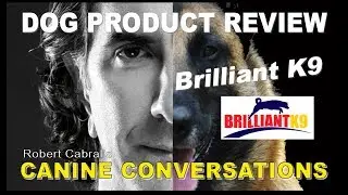 Brilliant K9 Vest - Dog Product Review - Dog Training and Products