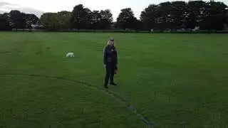 DJI Mini 2 Drone Circle Shot from low height. Quick Shot Mode
