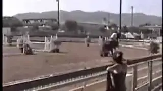 Knightline Nancy open jumpers