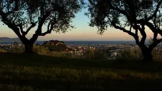 Kalamata