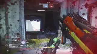 Float like a butterfly sting like a sandwasp