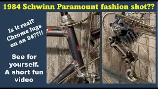 84 Schwinn Paramount beautiful details bicycle collection.