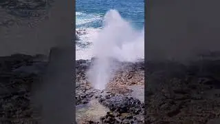 Spouting Horn blowhole giving a great show 🌊 #shorts #travel #hawaii #kauai #koloa #pacificocean