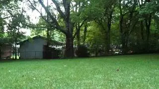 V911 helicopter fast forward flight
