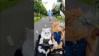Too Rich to Care&hellip; Cats Throwing Money on a Go-Kart 💸 | Funny Cat | MerMeow One Job a Day #funnycat
