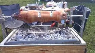 CJC65 Video