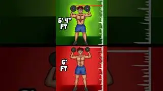 Does Height Impact Strength?