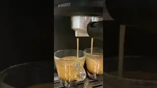 Liddl silver crest expresso machine